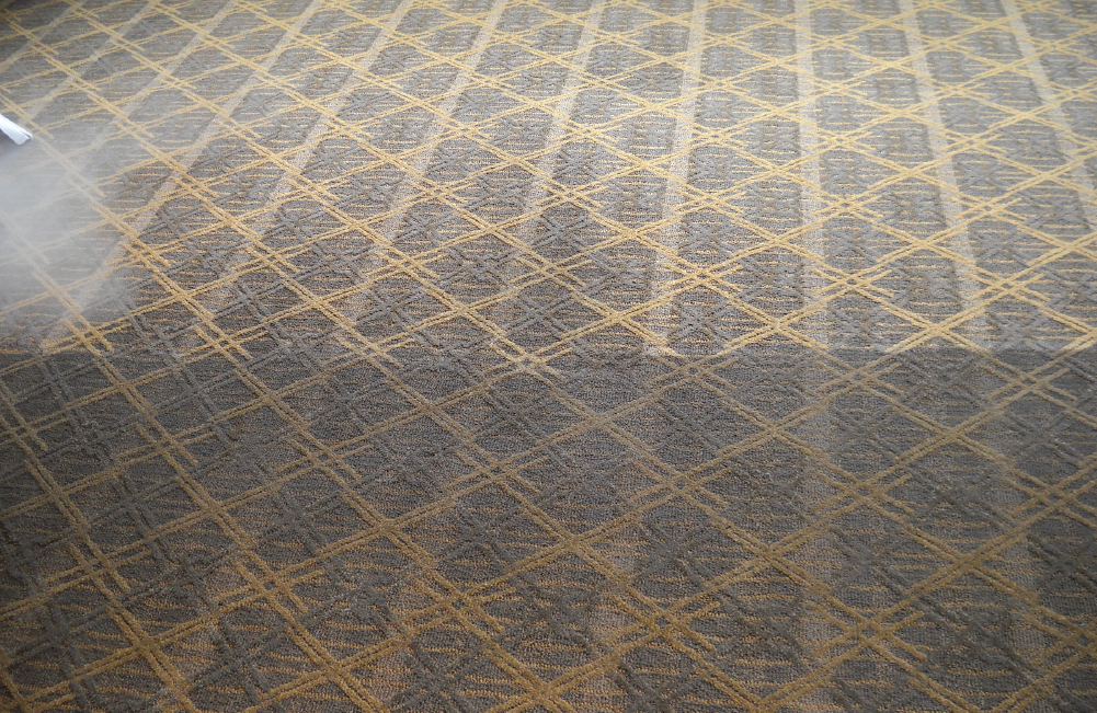 Before and After Carpet Cleaning