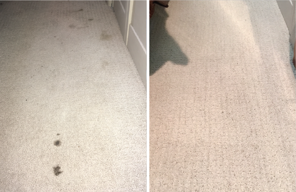 Before and After Carpet Cleaning