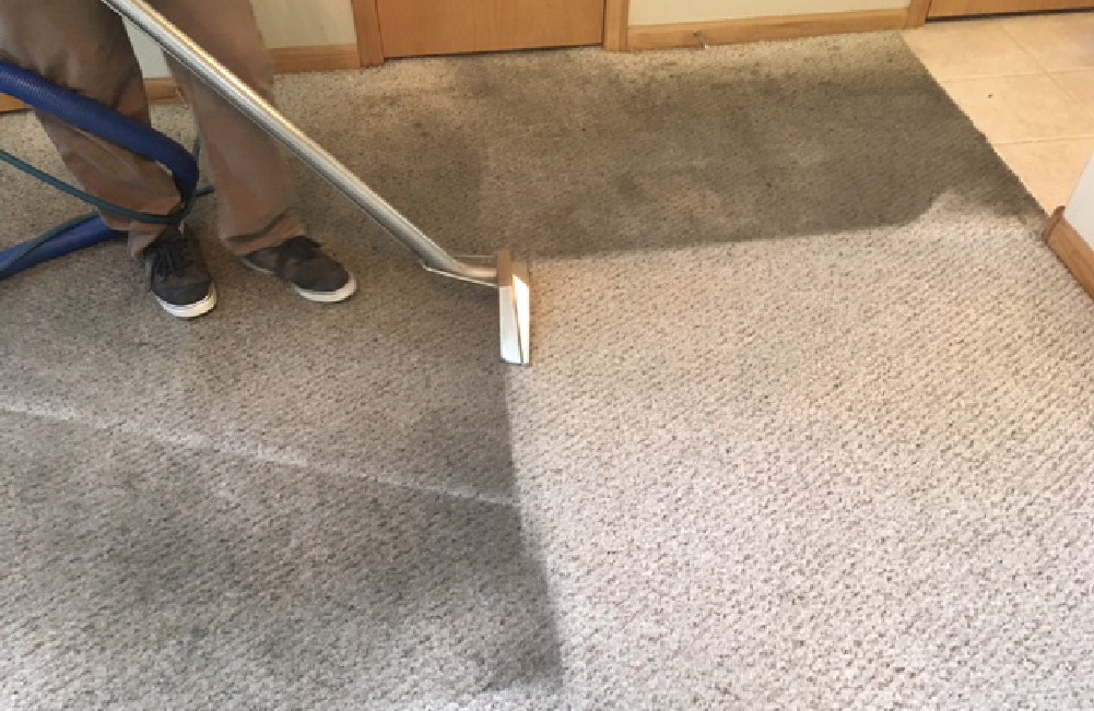 Before and After Carpet Cleaning