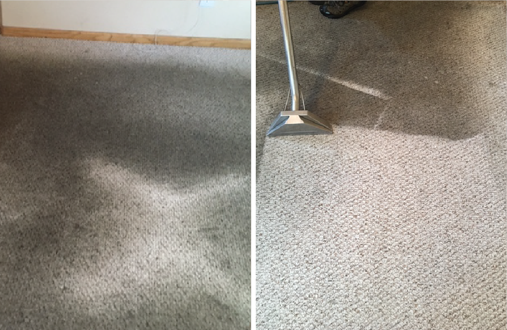 Before and After Carpet Cleaning